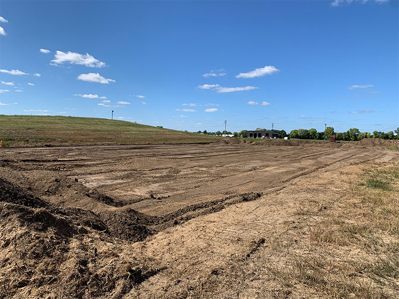 site