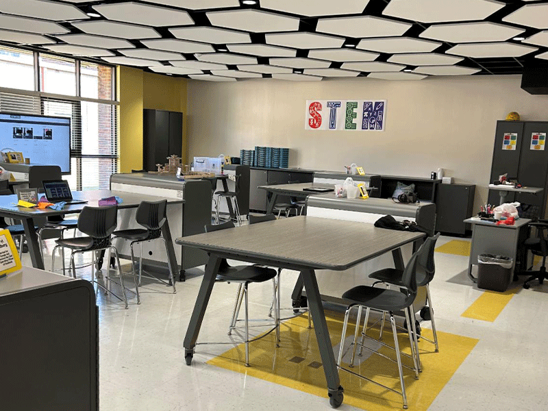 STEM1